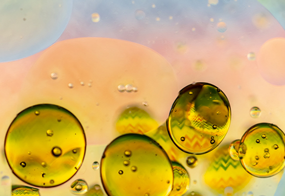 游艇会·yth206(中国)最新官网